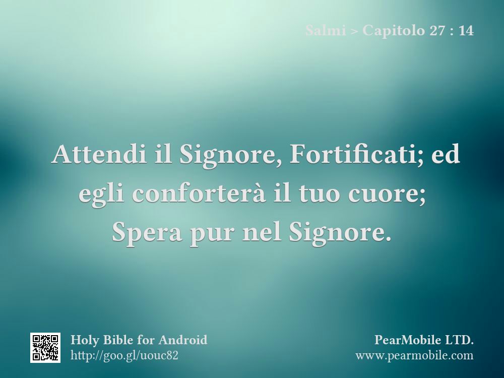 Salmi, Capitolo 27:14